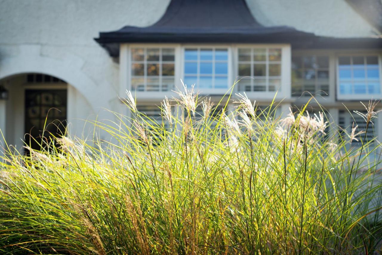 Daisybank Cottage Boutique Bed And Breakfast Brockenhurst Bagian luar foto